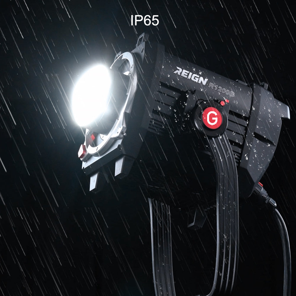 Reign R1200B  1200W Bi-Color Integrated Spotlight