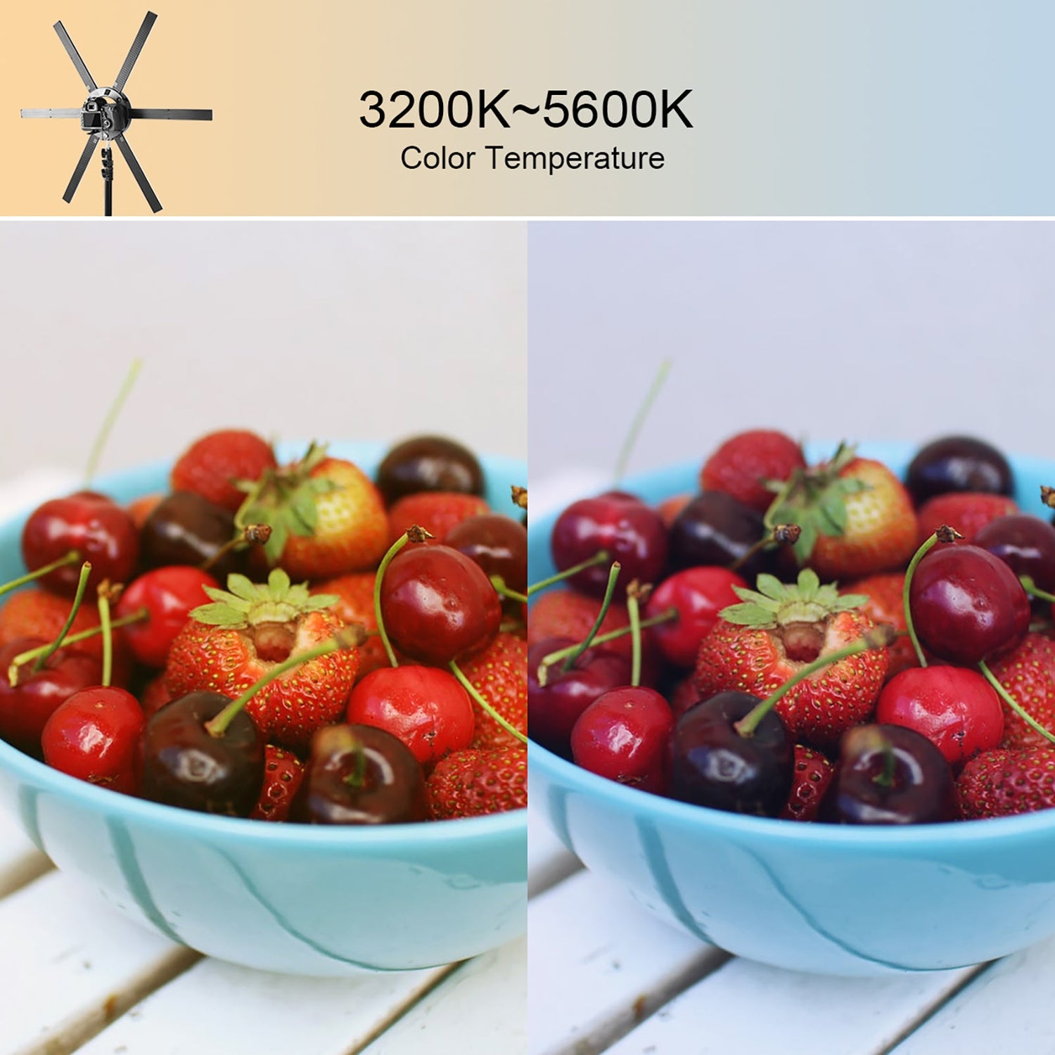 GVM-60W High Power Bi-Color LED Ring Light Kit - GVMLED