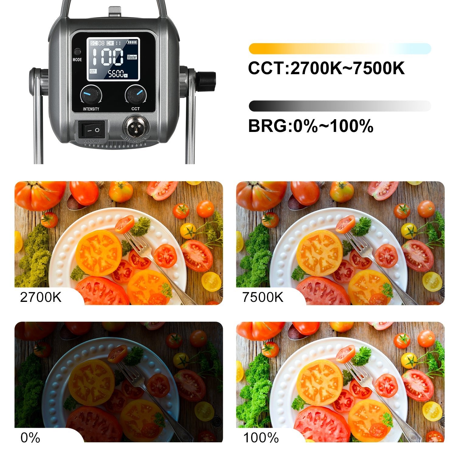 GVM PR150D 150W High Power LED Spotlight Bi-Color Studio Lighting Kit with Softbox - GVMLED