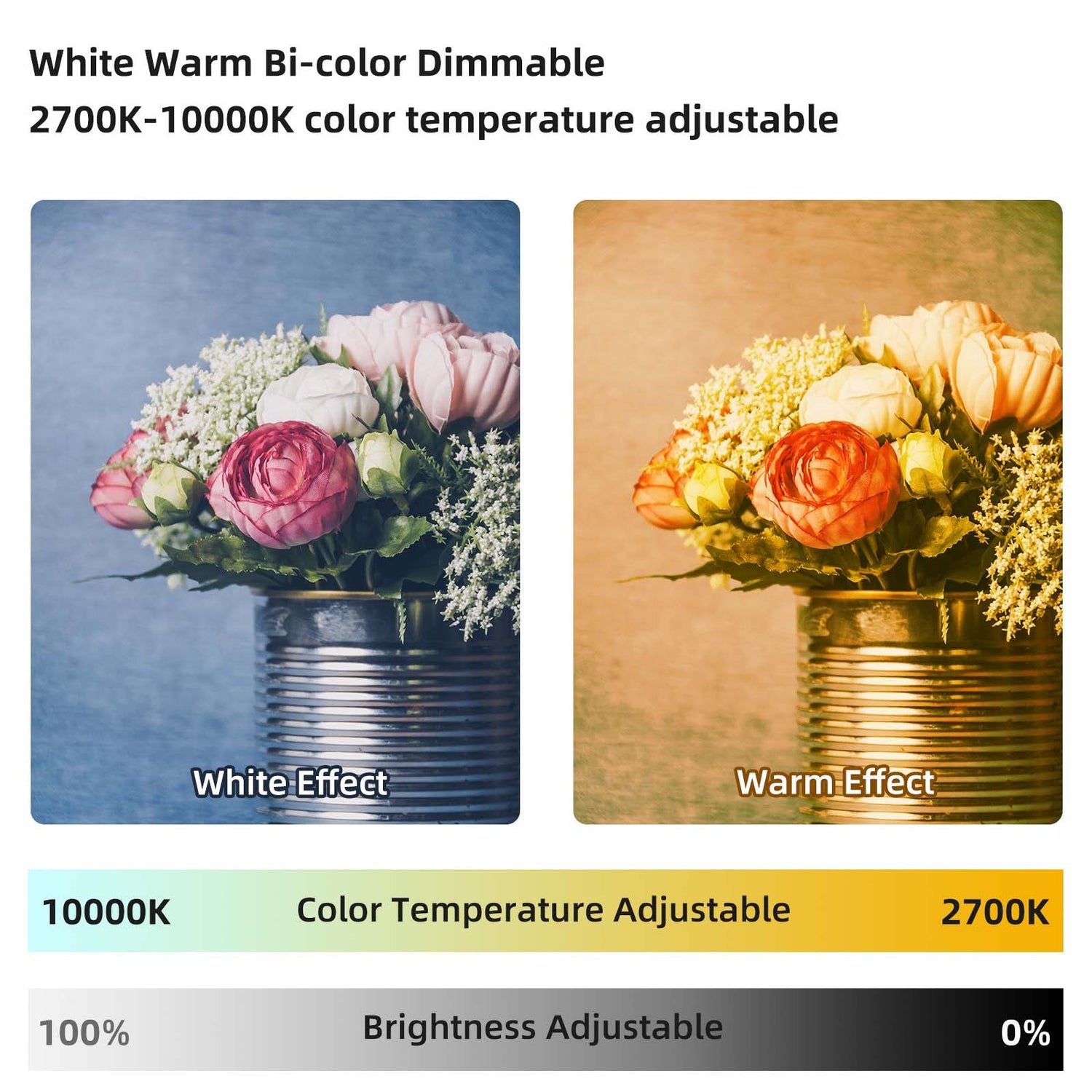 GVM R50R288 50W High Power Soft Light Bi-Color & RGB Video Light 2-Light-Kit - GVMLED