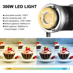 GVM 300W Bi - Color LED Monolight（BOGO）(Add 2 lights to cart) - GVM