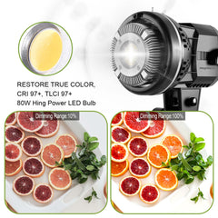 GVM 80W LED Spotlight Daylight Kit with Softbox - JIAN CHENG TECHNOLOGY INC.