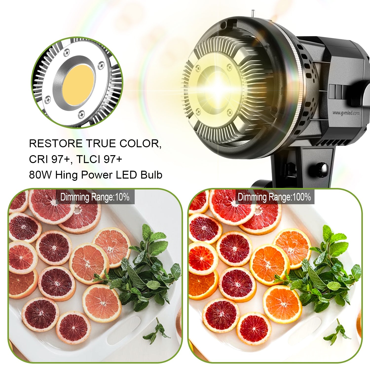 GVM 80W LED Spotlight Daylight Kit with Softbox(BOGO) - JIAN CHENG TECHNOLOGY INC.