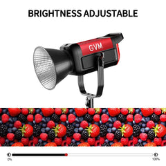 GVM PRO - SD200B 200W Bi - Color Mesh Bluetooth Monolight - JIAN CHENG TECHNOLOGY INC.